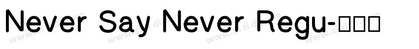 Never Say Never Regu字体转换